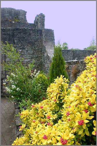 Die Mauern der Ruine Cong Abbey