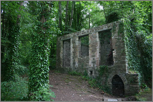 Ruine eines Kühlhauses im Forest von Killala