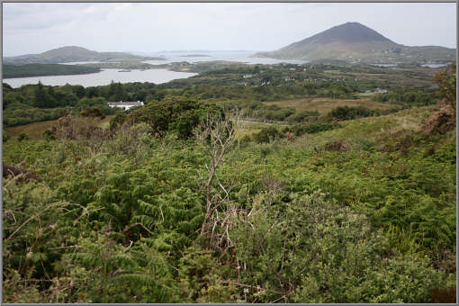 Blick auf die Küstenlandschaft der Connemara