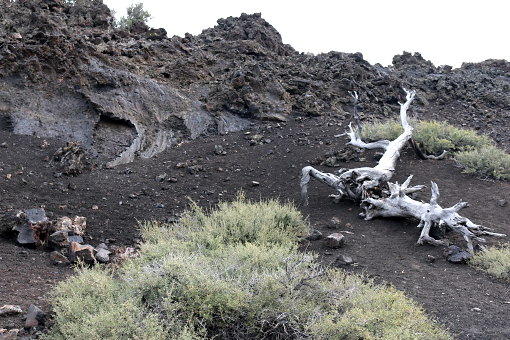 Craters of the Moon - Panorama